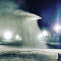 28515926 10155445542377965 6665332086076929206 o