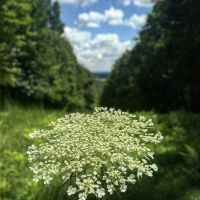 31689279 10155587494202965 7983091307196497144 n