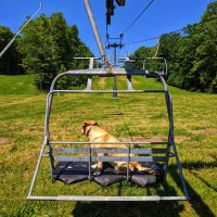 33873791 10155647727332965 3522316144172072960 o