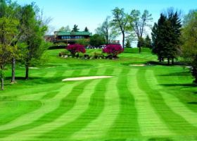 big thumb 9fcf0347739265c5106bf268f743b0f7